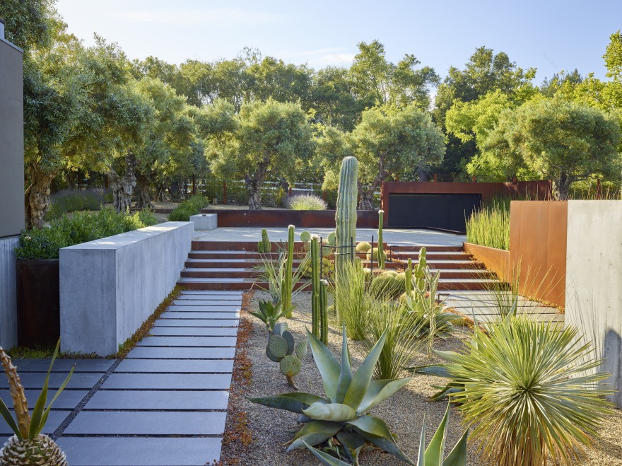 橄榄林住宅花园-22