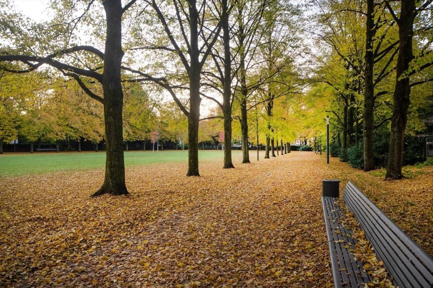 德国宫廷花园丨POLA-19