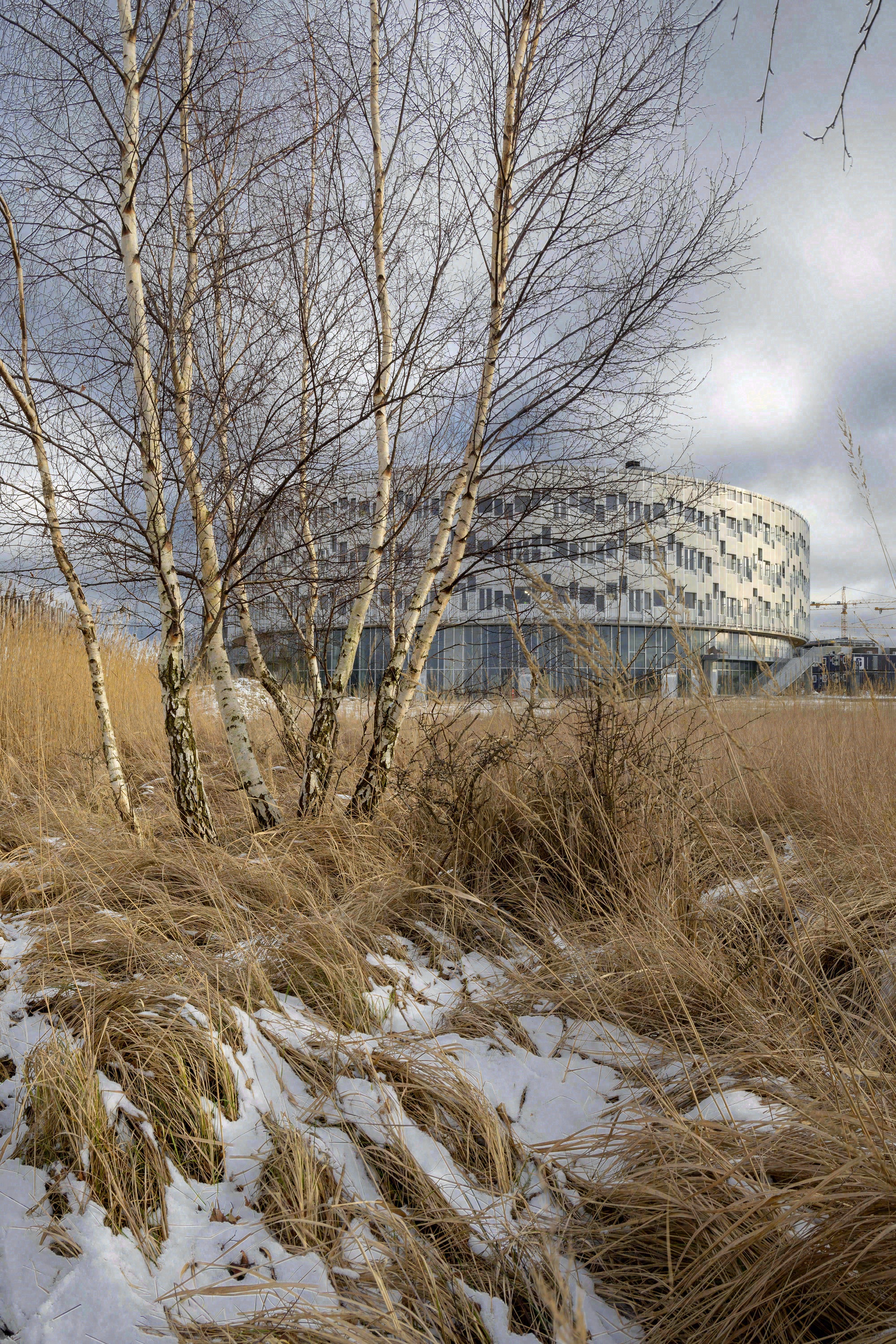 Kalvebod Fælled 学校丨丹麦哥本哈根丨Lundgaard & Tranberg Architects-17