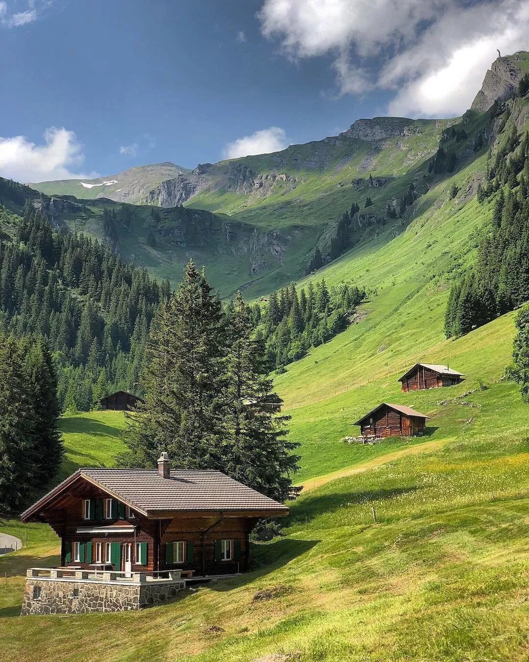 美国加州的乡村别墅丨Pamela Shamshiri-41