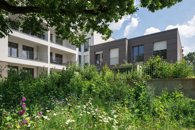 MOW Architekten GmbH丨Ökosiedlung Friedrichsdorf丨德国-6