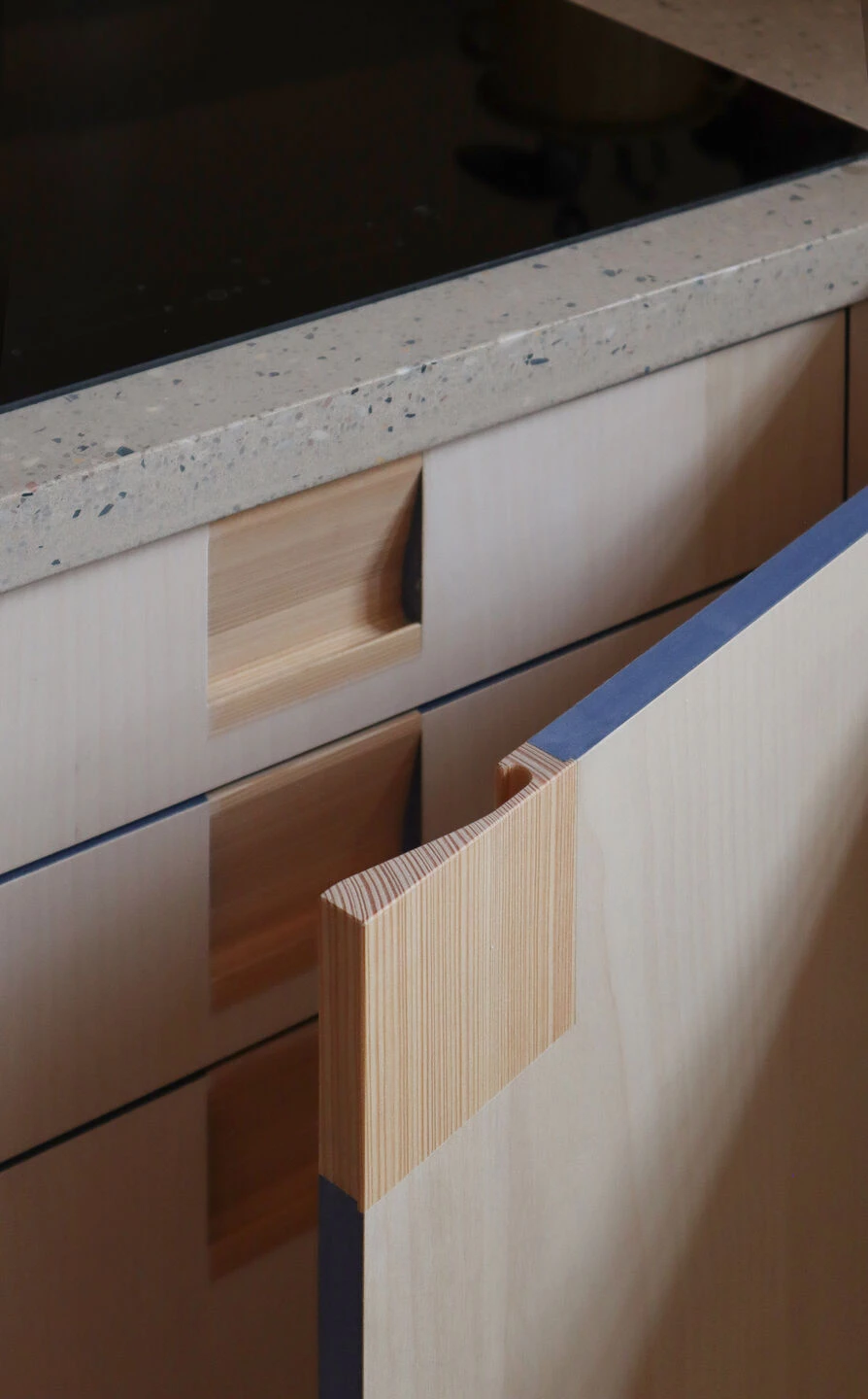 CIAHAD 小屋丨瑞士丨Camponovo Baumgartner Architekten-28