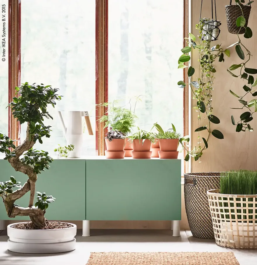 摄影师 Andrea Papini 的室内设计美学 | 打造诗意家居空间-13