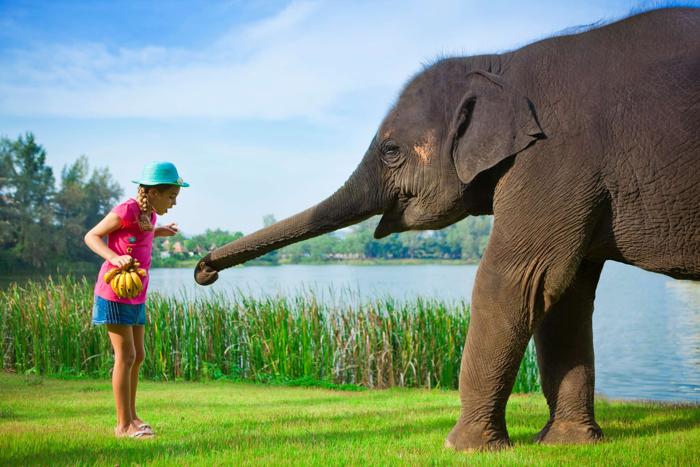 Angsana Laguna Phuket-36