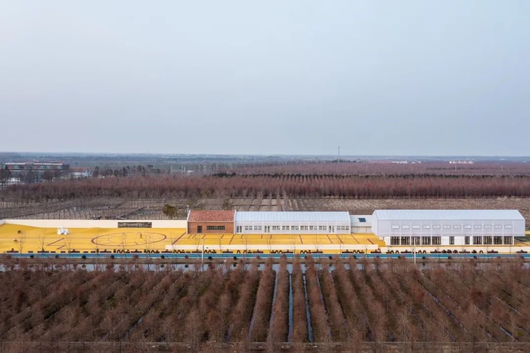 黄金晒谷场 · 俞挺打造凡人安乐乡的农耕记忆丨中国上海丨Wutopia Lab（建筑,景观）-5