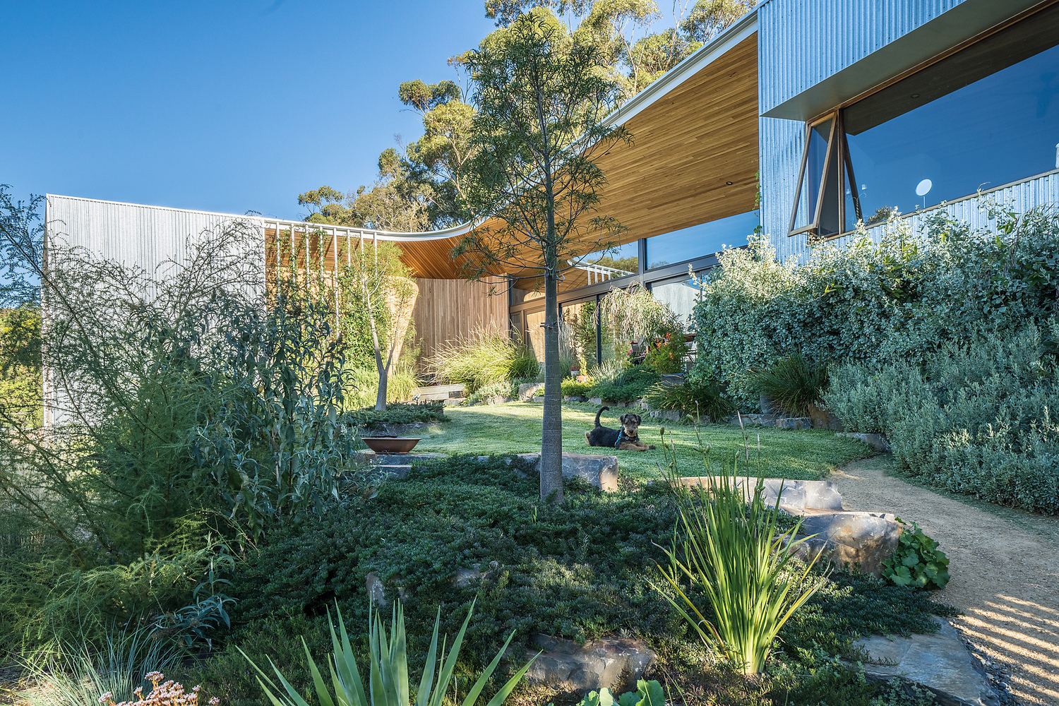 澳大利亚 Willunga 住宅丨澳大利亚阿德莱德丨RfkStudio-12