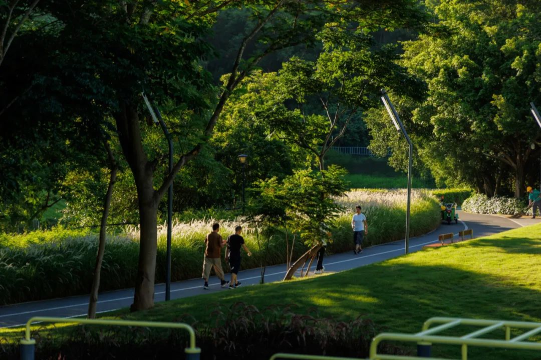 摩天都市中的绿色脉搏 | 深圳笔架山体育公园-131