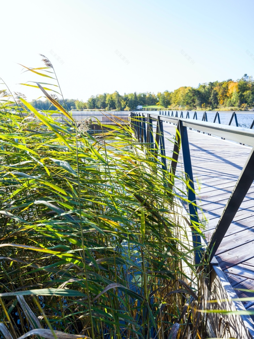 斯德哥尔摩 Farsta 湖滨栈道丨瑞典斯德哥尔摩丨Karavan-8