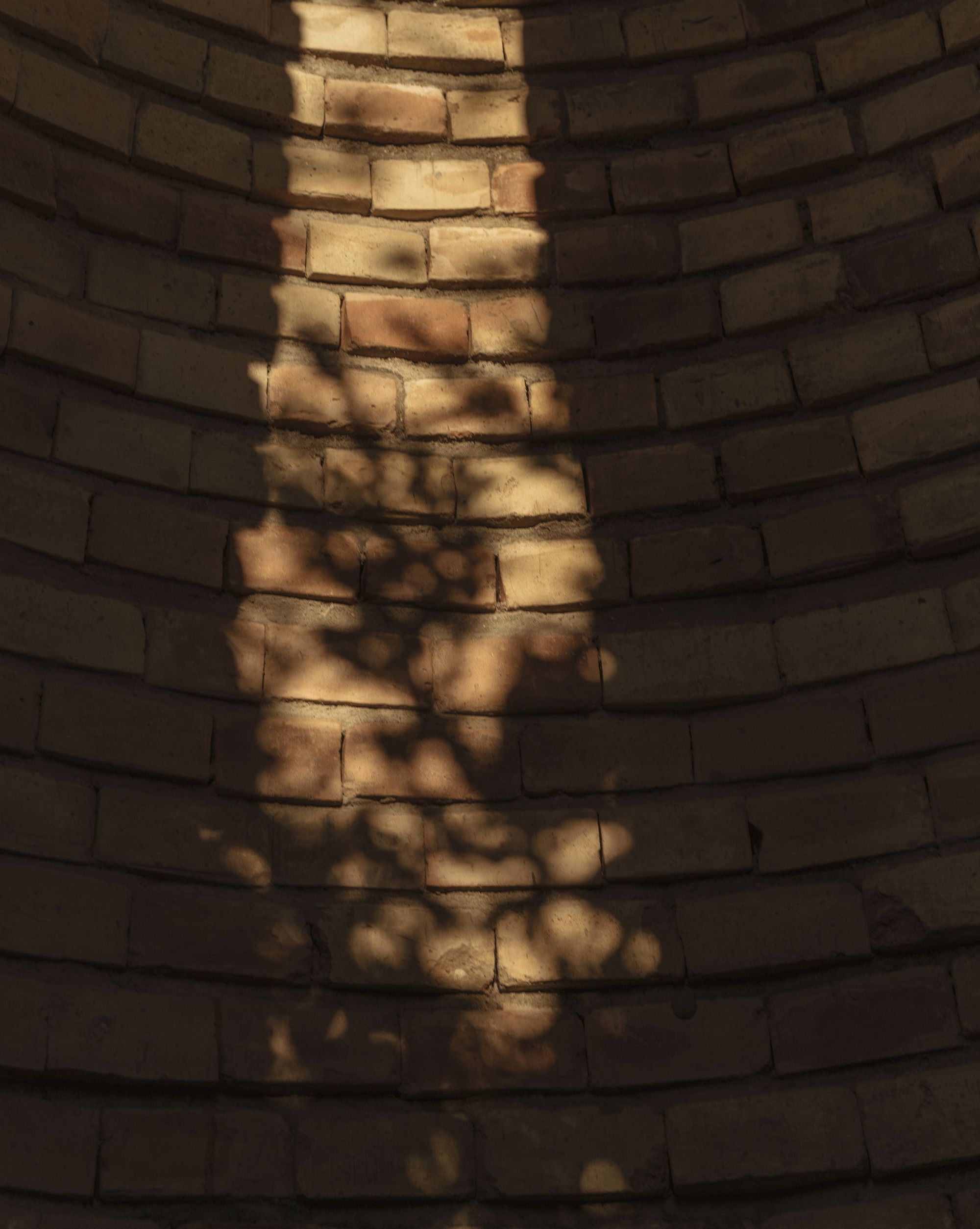 陆地酒店丨墨西哥瓦哈卡-9