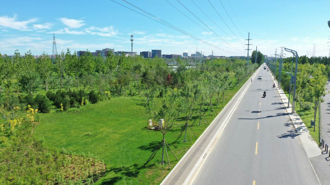 校友汇丨用匠心描绘雄安蓝绿底色——记我院2014级校友武芳芳-70