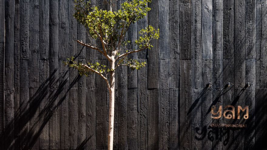 山餐厅 或 雅姆餐厅 或 亚姆餐厅-67