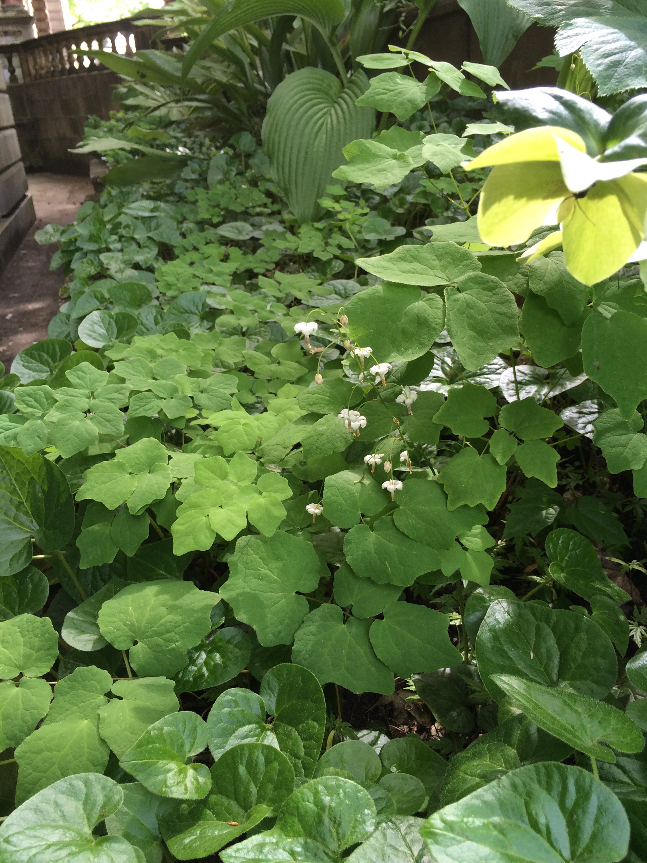 波特兰市政厅周边花园景观项目丨美国波特兰-20