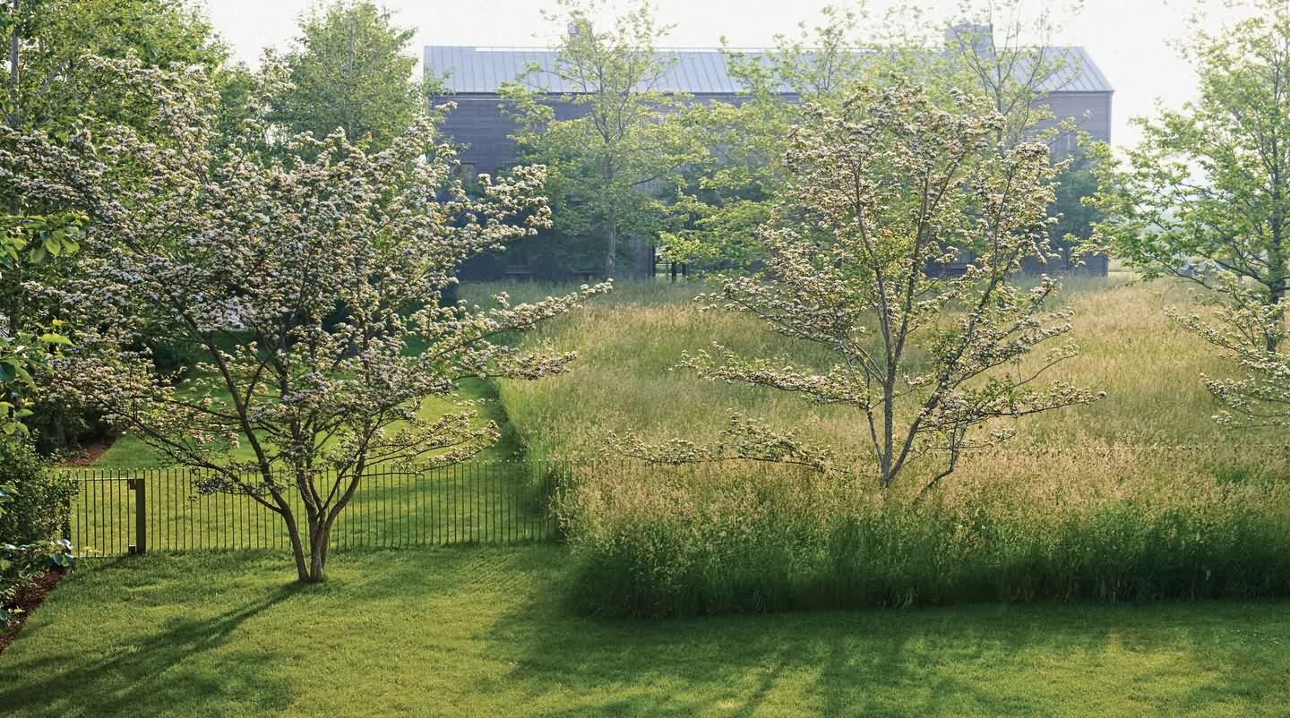 长岛 Wainscott 农场-2