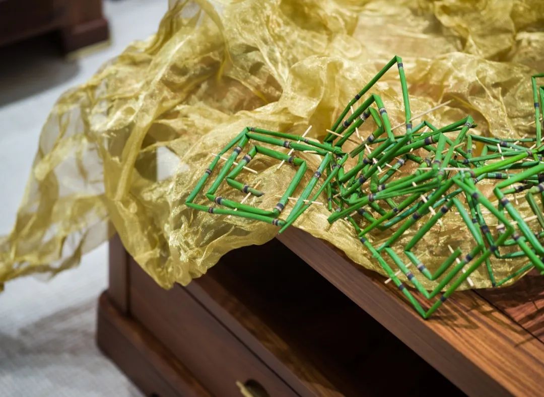 半木之家“伴夏集” | 唐七小姐的花植艺术装置-54