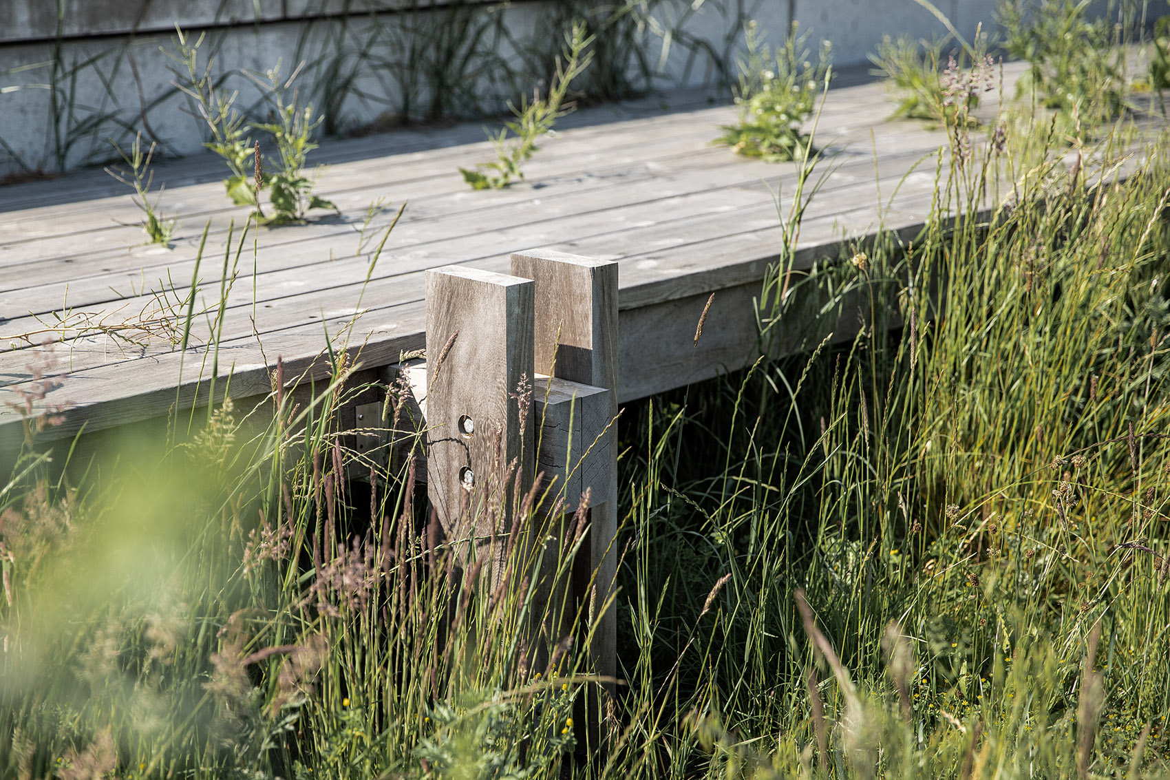 丹麦 Køge 市南港景观丨SLA-18