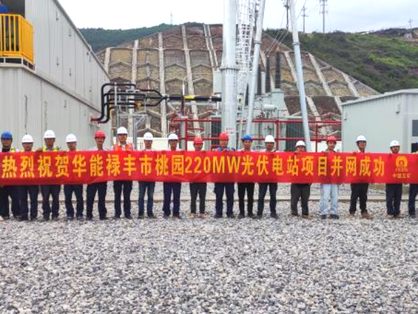 上海宝冶承建的禄丰市桃园220MW光伏电站项目成功并网-42