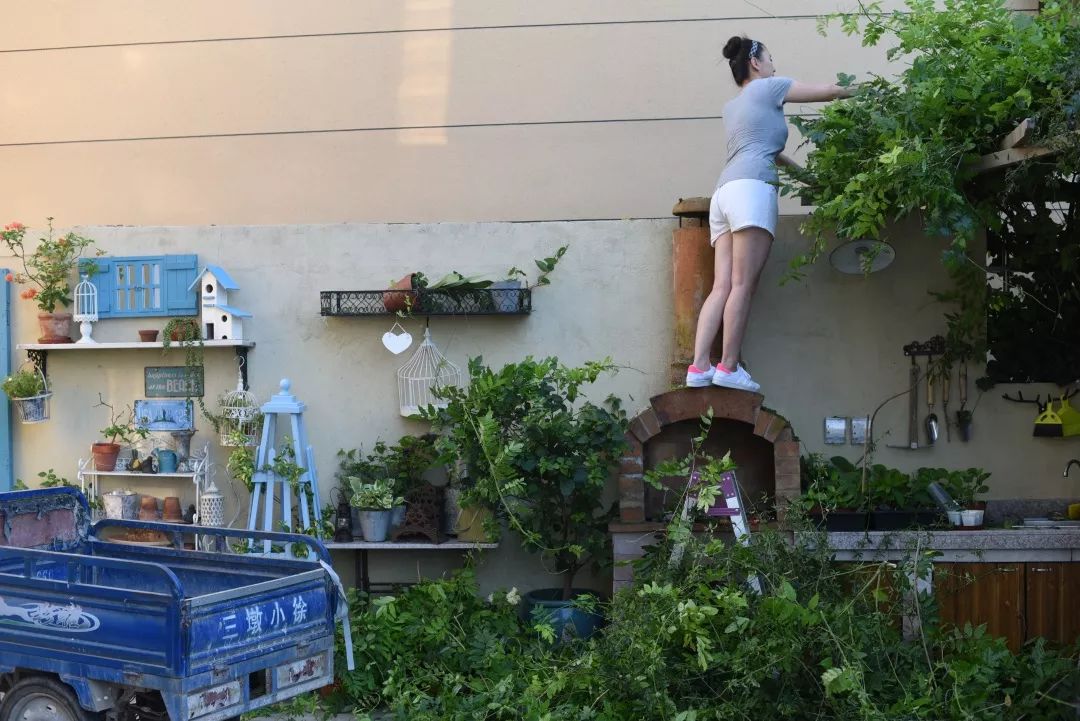 78岁爷爷改造荒废院子，为孙女建起一座花园-143