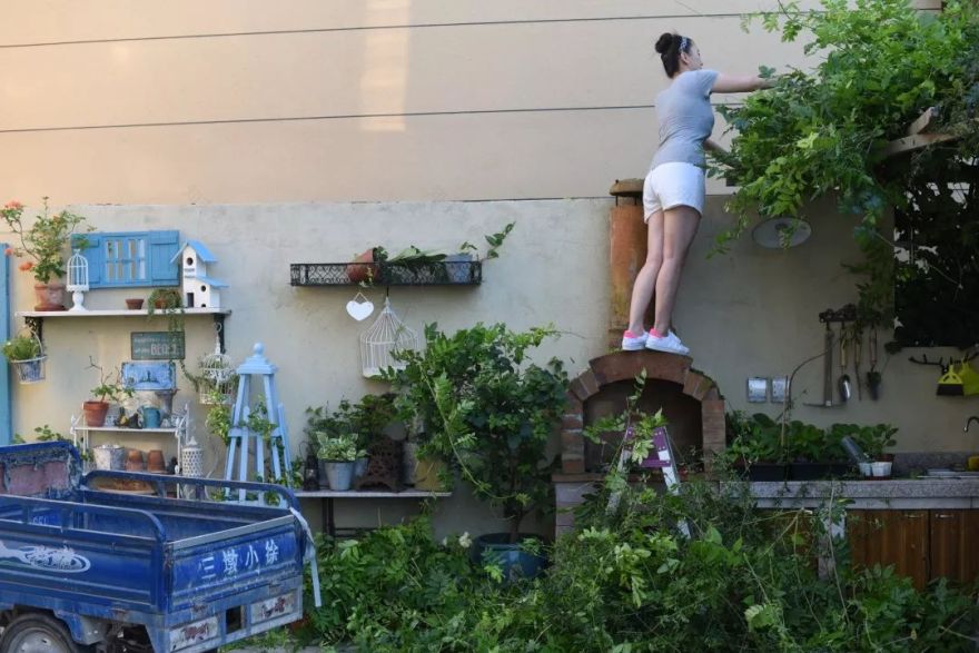 78岁爷爷改造荒废院子,为孙女建起一座花园-143