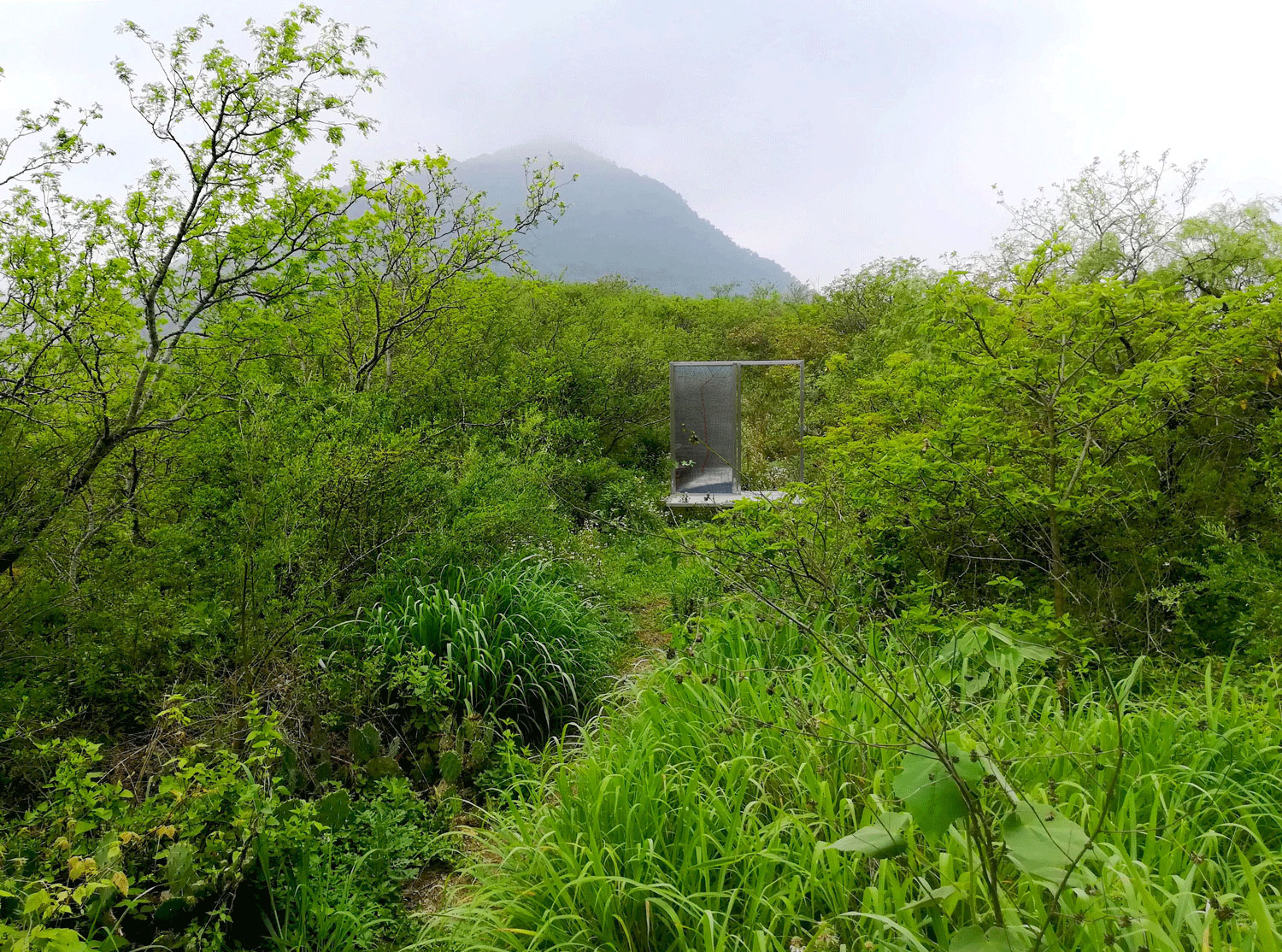 共生荒原 · 揭示人与自然和谐共生的景观建构-10