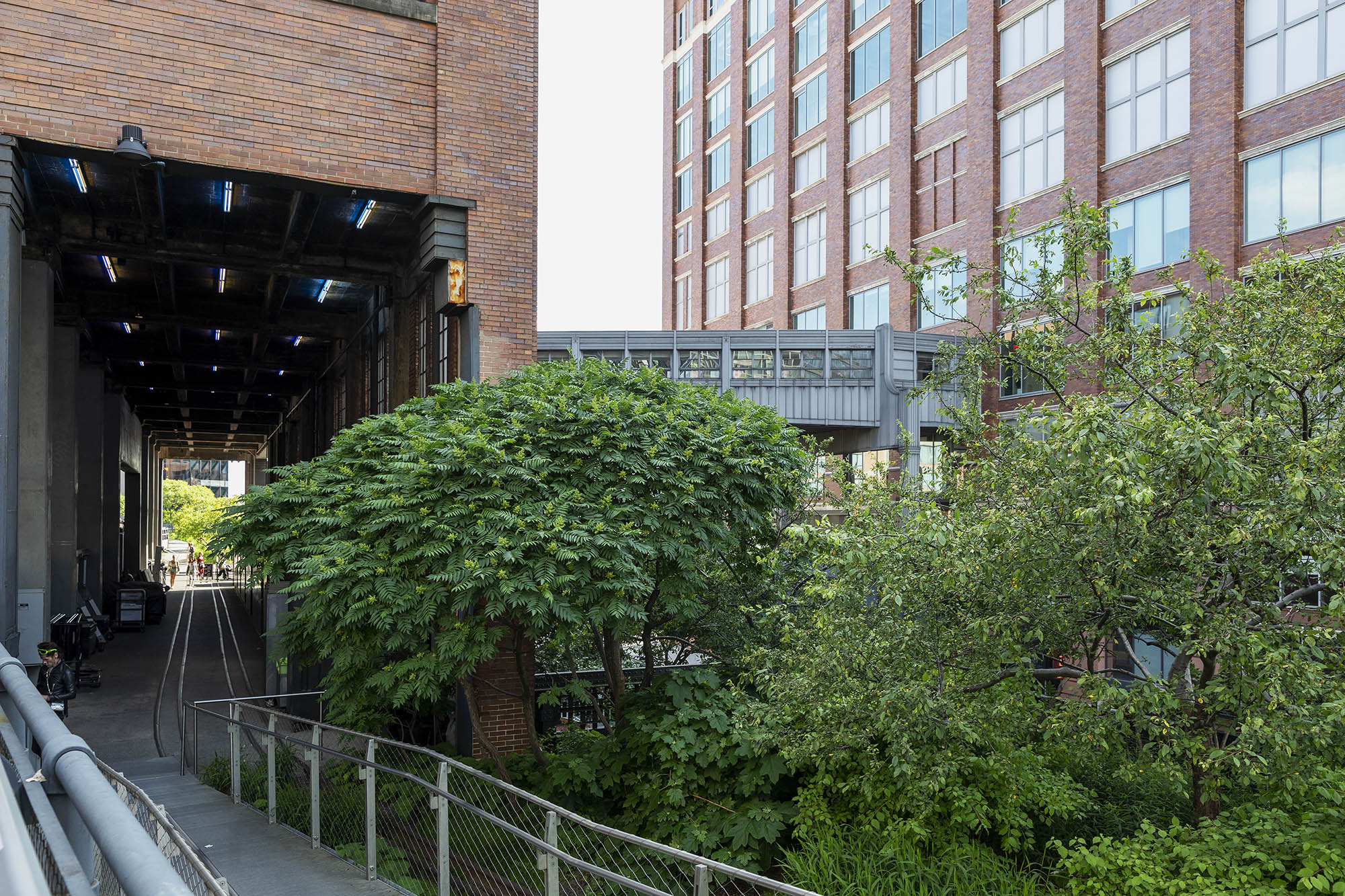 纽约高线公园（The High Line）丨美国曼哈顿-22