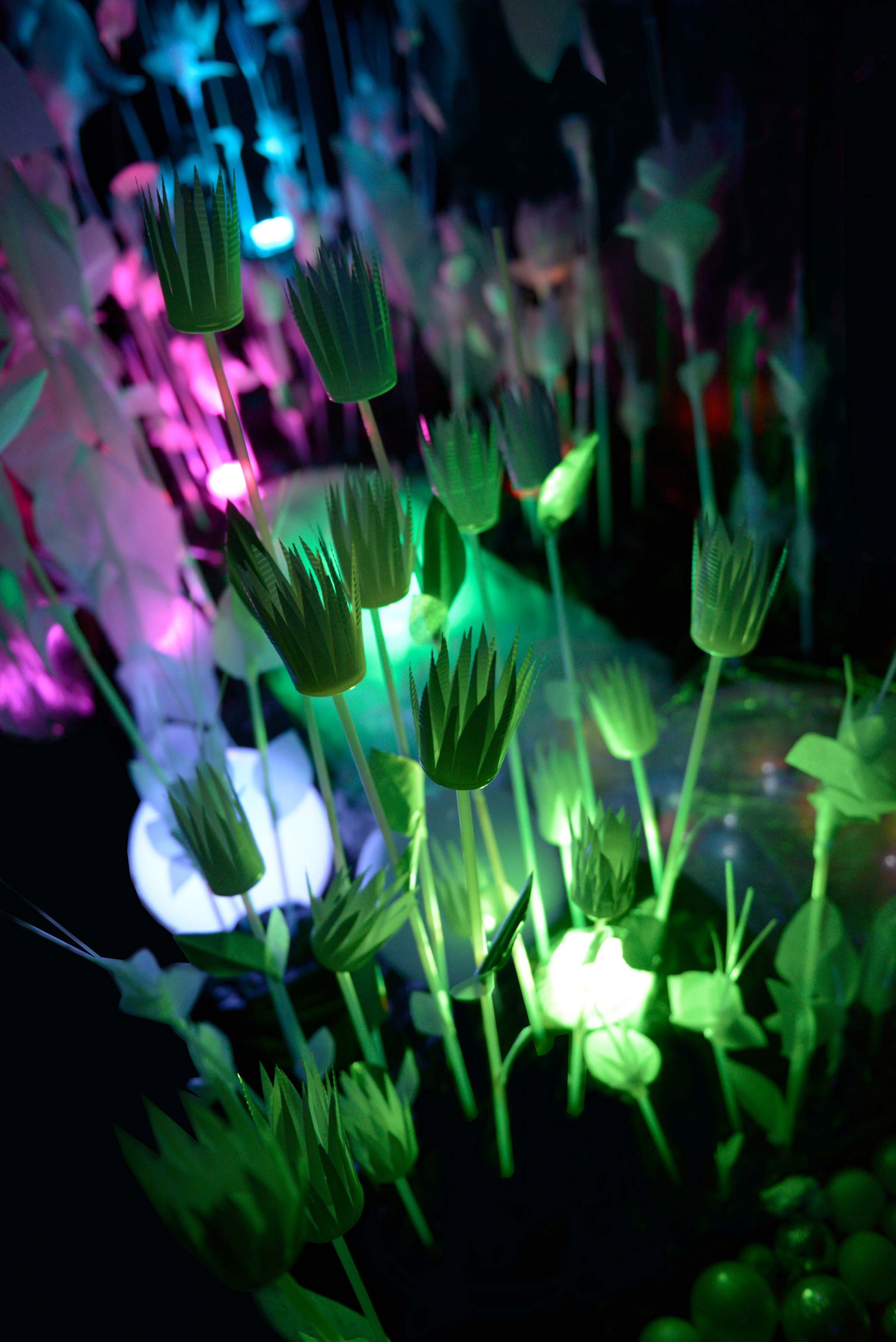 黑暗森林装置-21