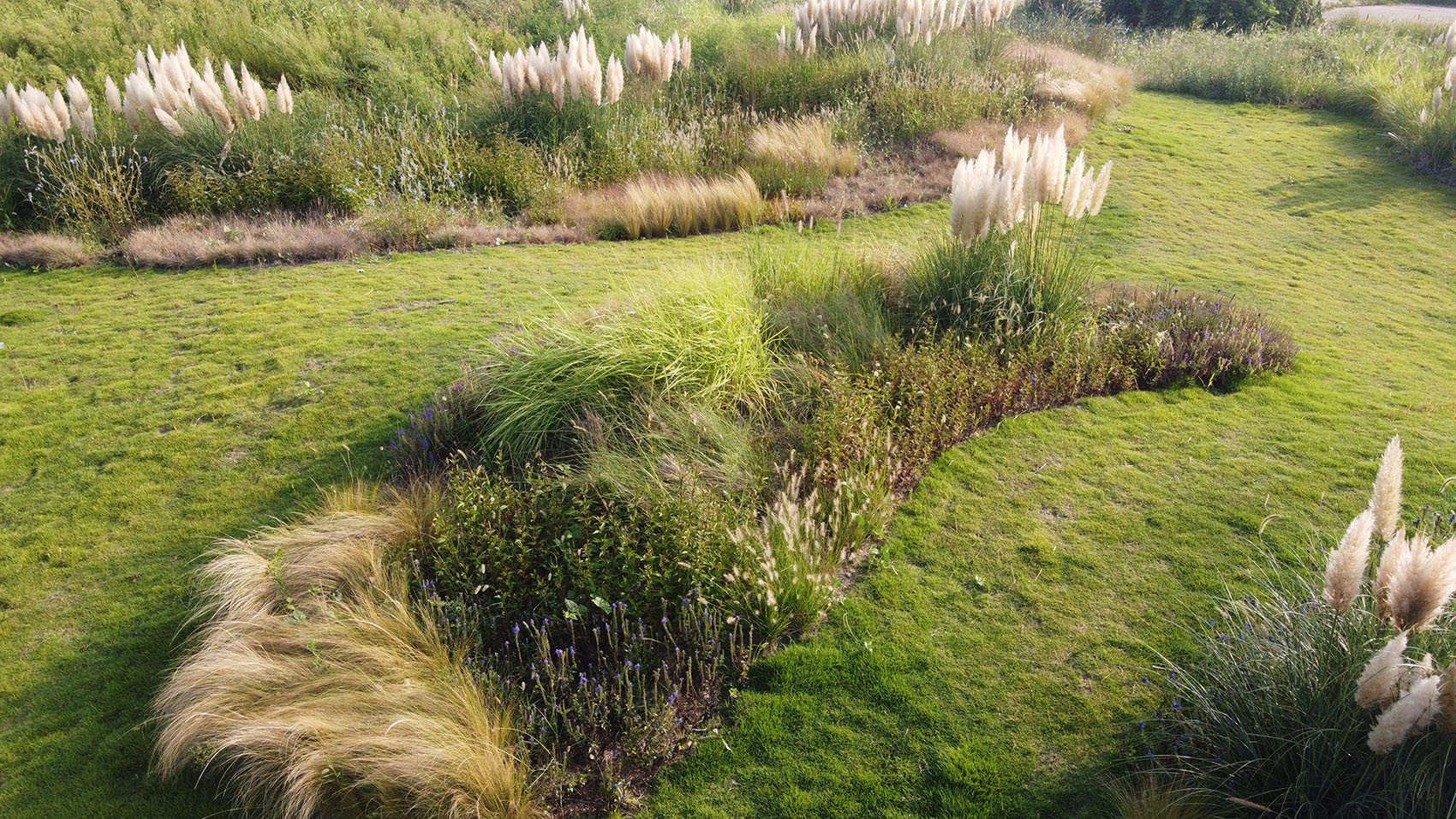 多岛海野草公园丨中国日照丨孔祥伟工作室-19