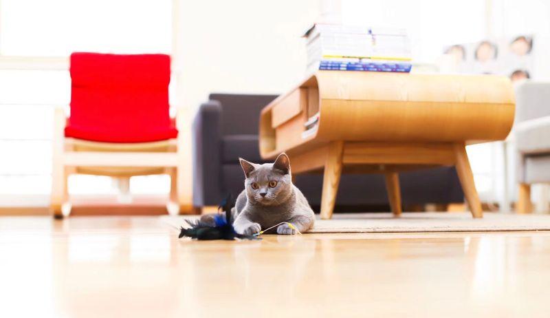 壹人壹像 · 打造温馨舒适的摄影空间-27