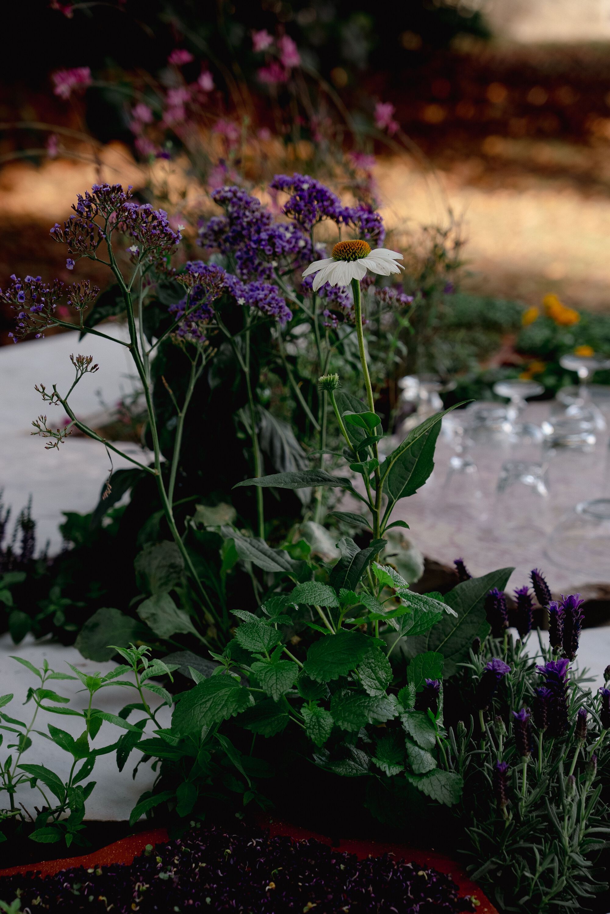 活体多物种厨房丨葡萄牙波尔图丨Fahrenheit Works-33