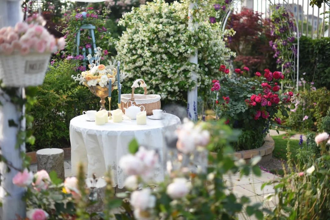 78岁爷爷改造荒废院子，为孙女建起一座花园-52