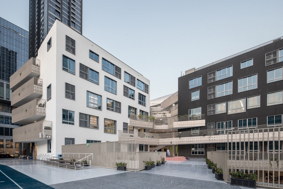 深圳桃园小学 | 高楼林立下的“城市绿洲”-56