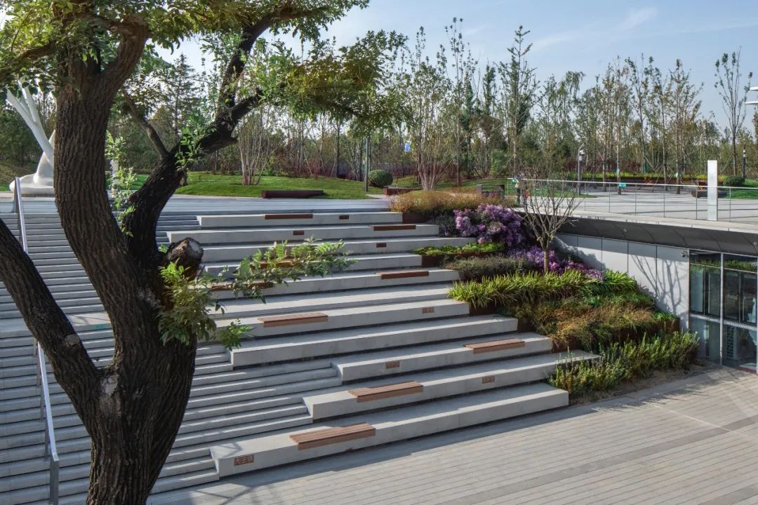 绿色智慧生活样本 | 乡愁记忆的新区实验区-33