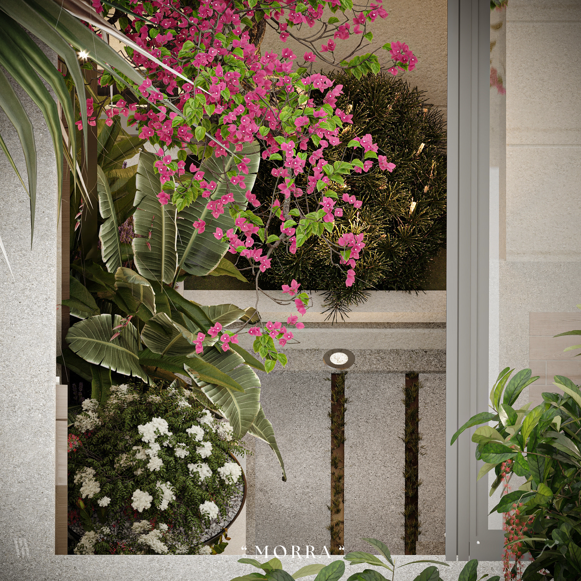 莫拉·069丨MOHAMED ABO MORRA tm-13