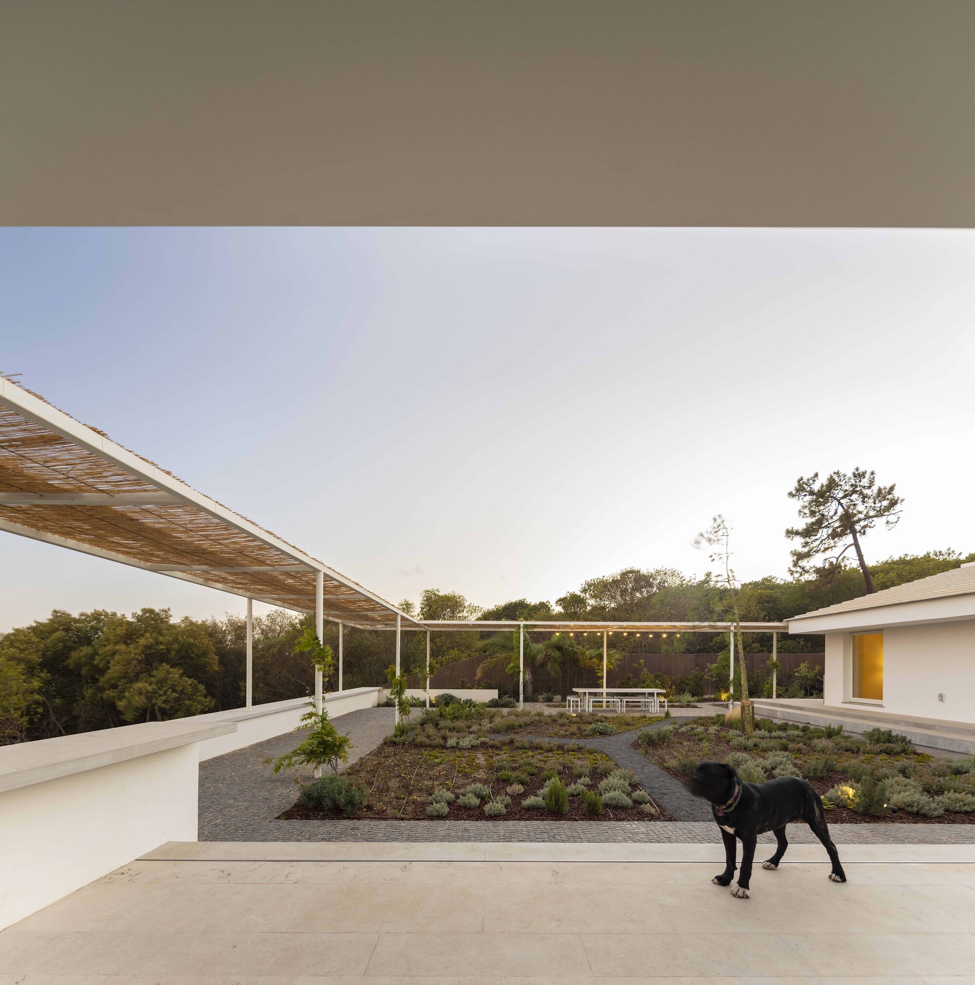 圣安东尼奥之家丨葡萄牙丨José Adrião Arquitetos-34