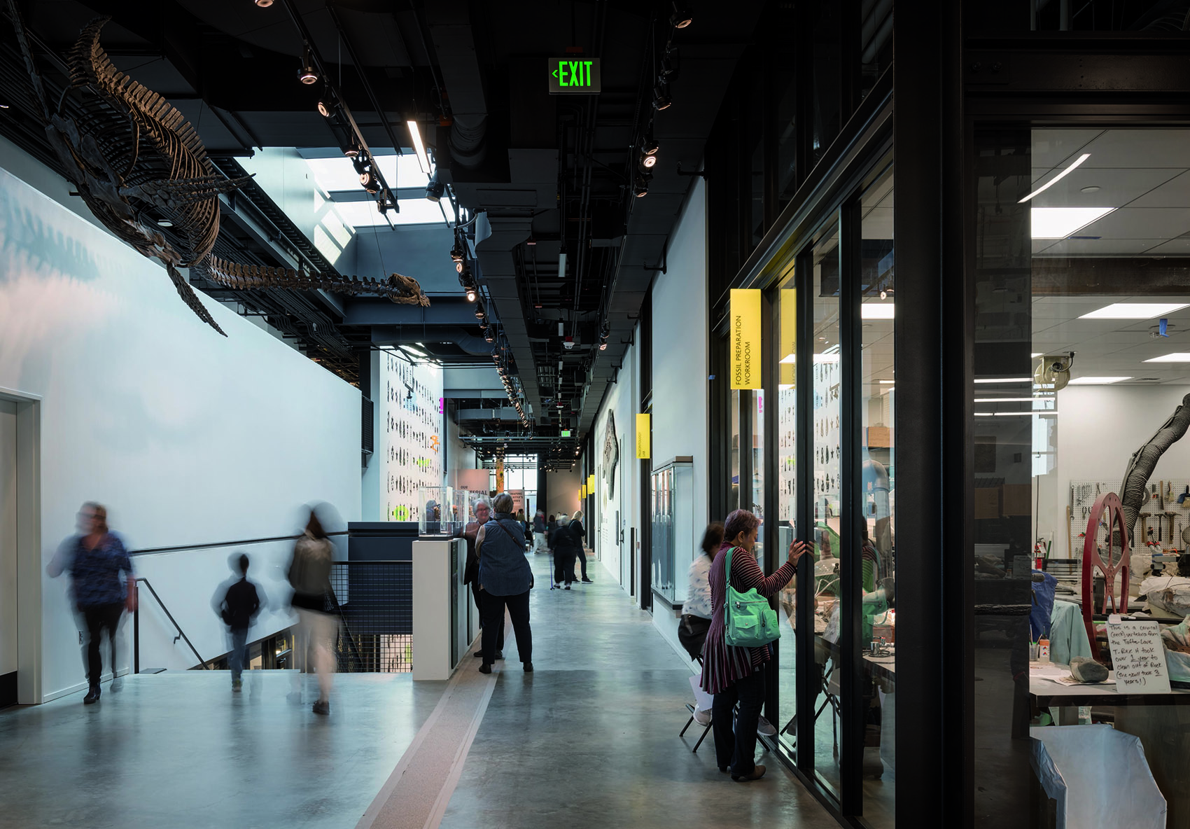 伯克自然历史文化博物馆,西雅图 / Olson Kundig Architects-55