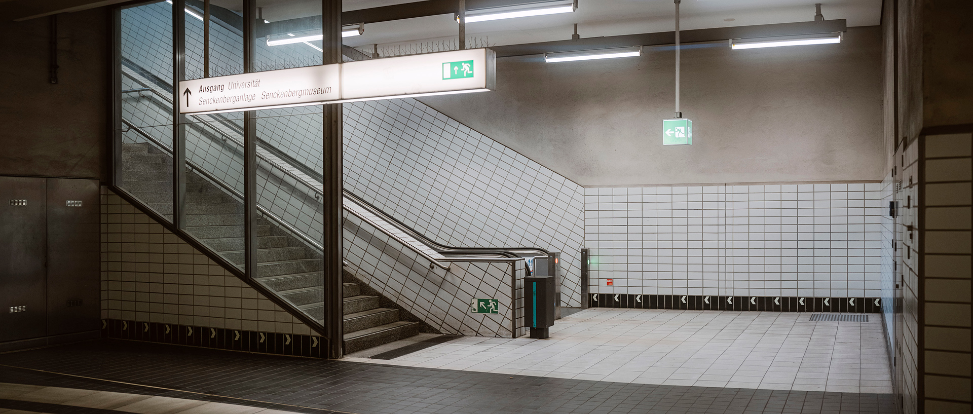 电影的 FFM丨alexanderrentsch-6