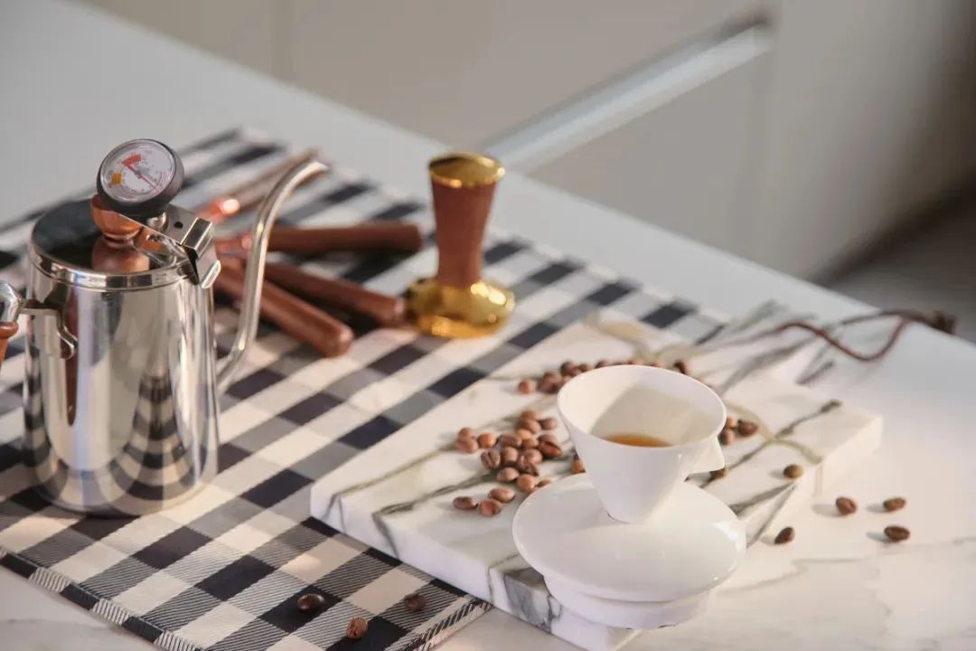 现代主义的住宅-18