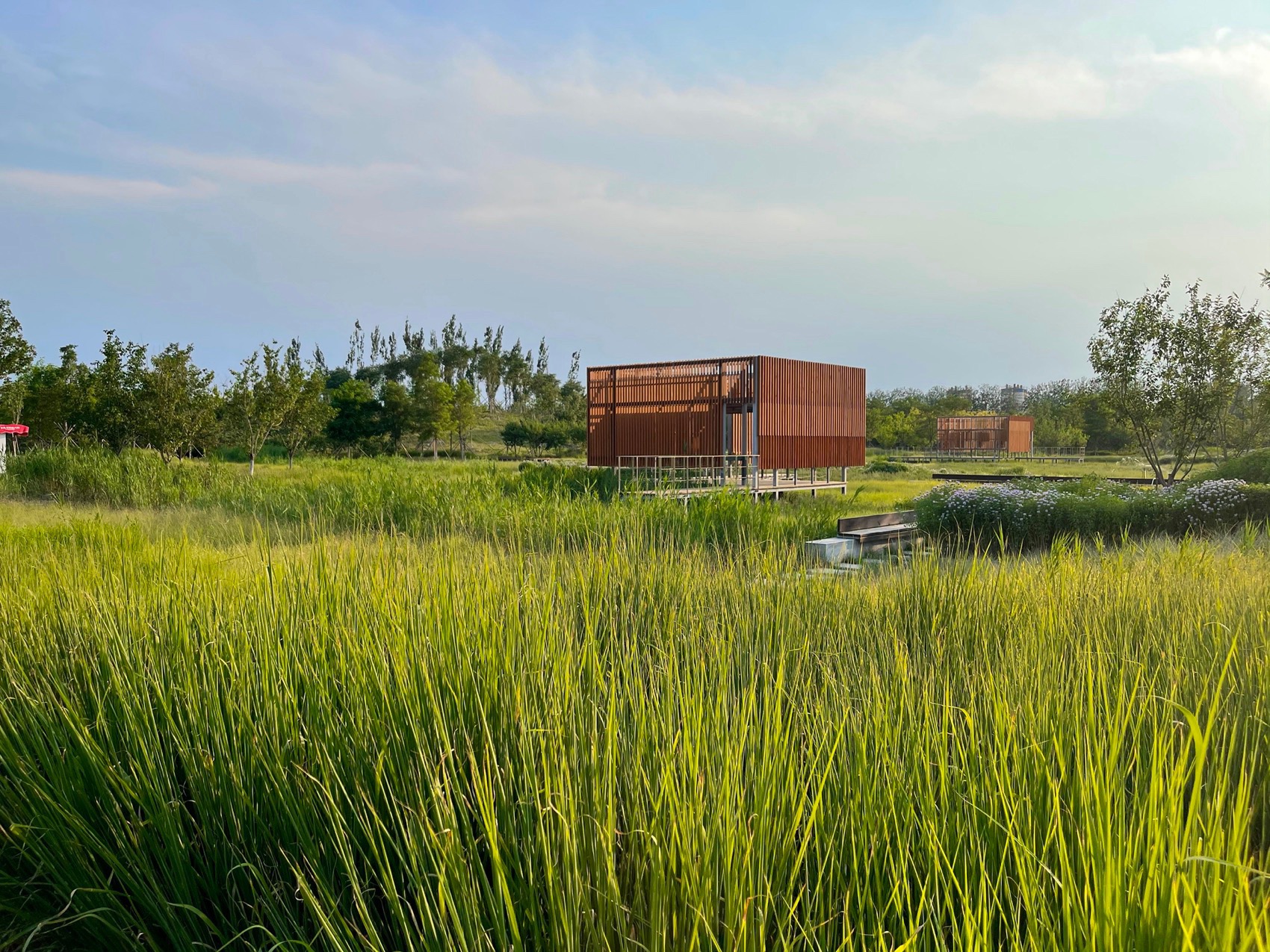 饮鹿池公园丨中国北京丨北京林业大学风景园林规划设计研究院+山水和泓+原筑景观-25