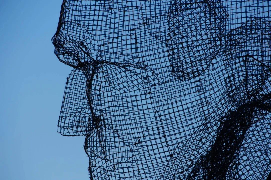 骶骨的;骶部的丨意大利丨Edoardo Tresoldi-142