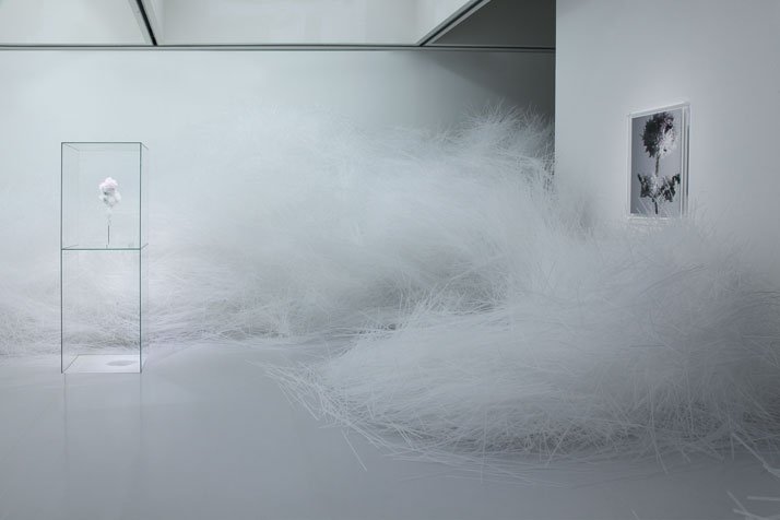 梦幻晶体 | Tokujin Yoshioka 东京个展-5