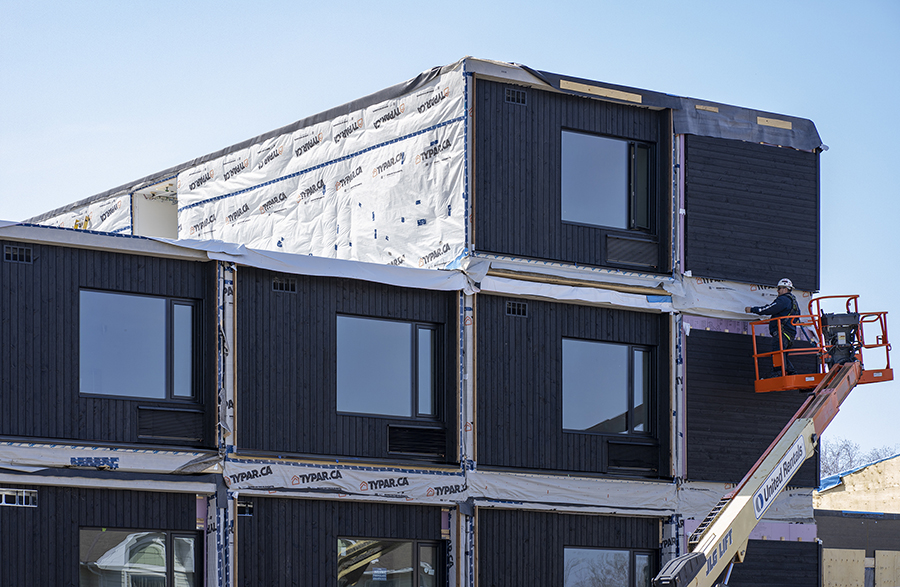 News - Montgomery Sisam-21