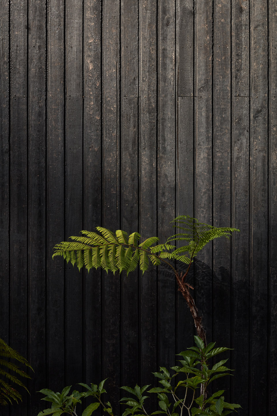 哥斯达黎加Atelier别墅-29