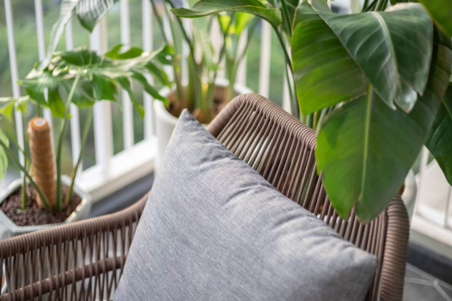 栗树大街·热带地区丨新加坡丨ADDP Architects-28