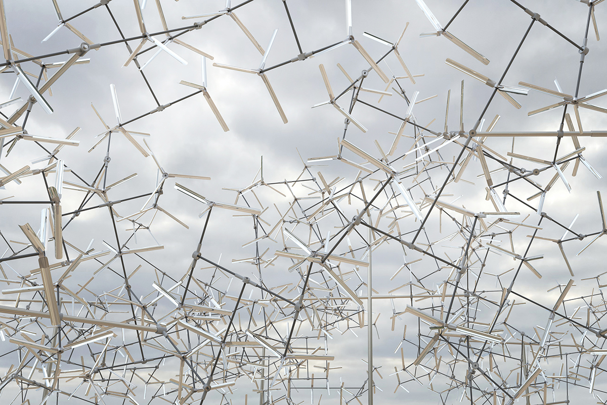 《分形群集》丨坦桑尼亚丨Vincent Leroy-15