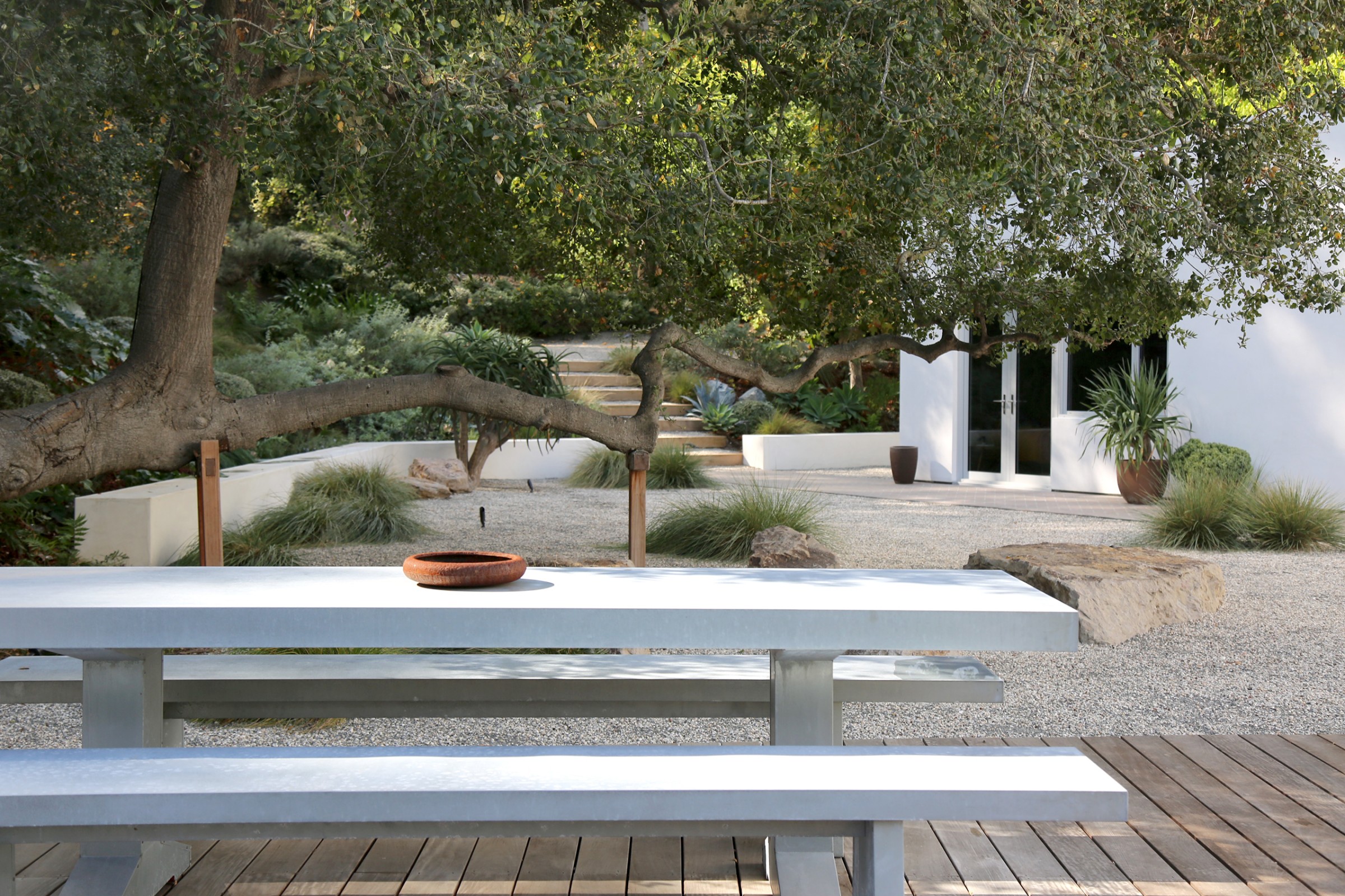 门前野趣丨TERREMOTO-75