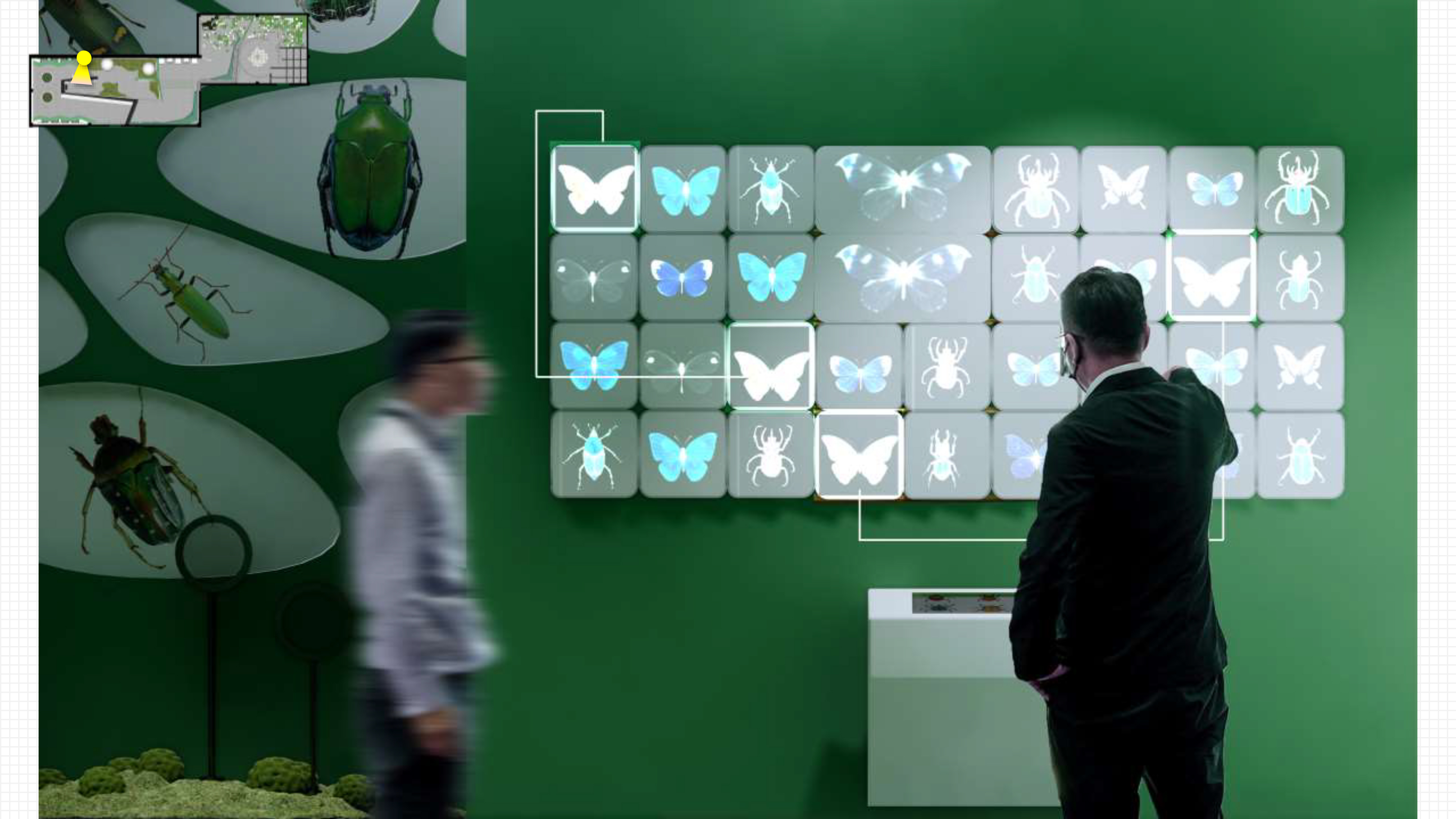 “链”接未来-生物多样性主题展览-18