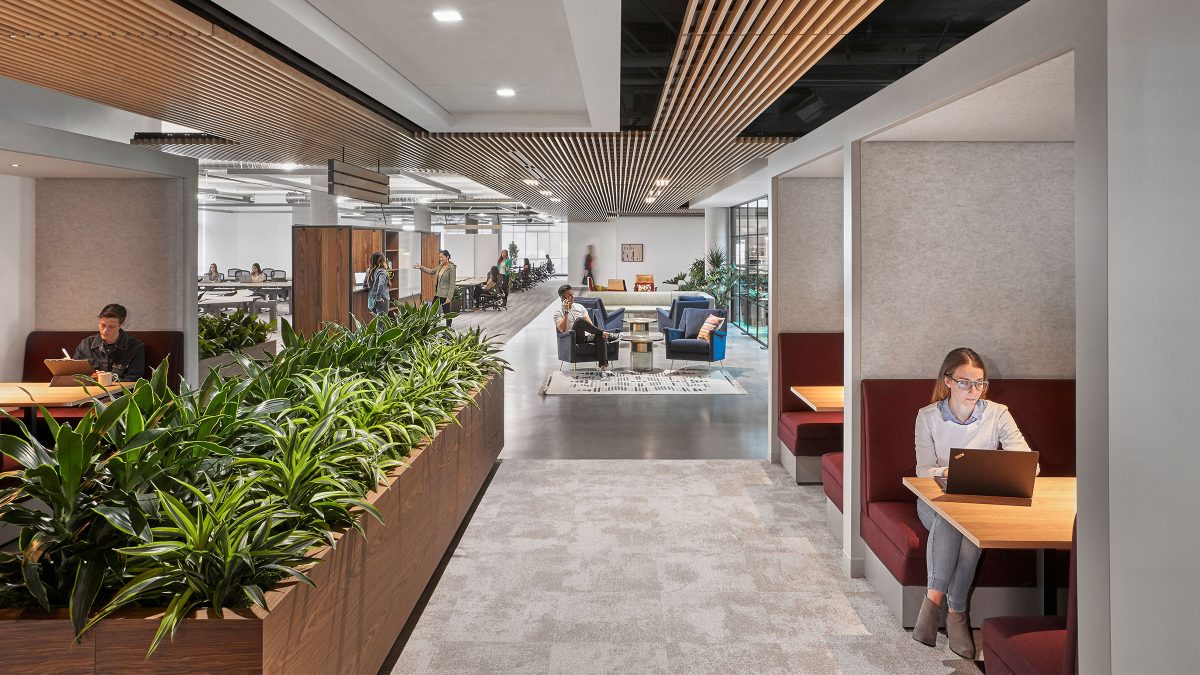 湾区客户，三藩市 -5