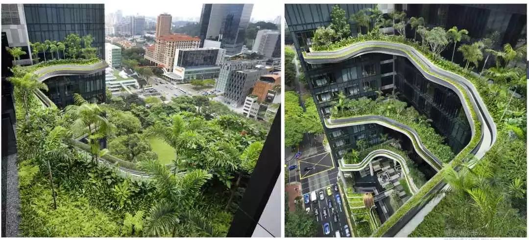 成都星瑞皇家国际大酒店-62