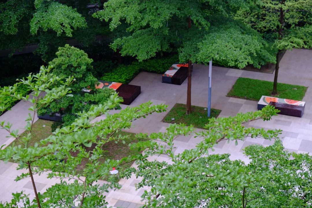 深圳办公场地怎么选？6米层高自由定制空间-186