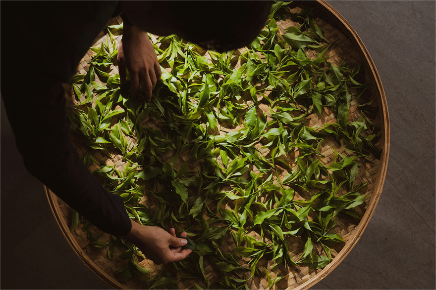 嘉佩乐酒店丨中国台北丨傅厚民(André Fu)-73