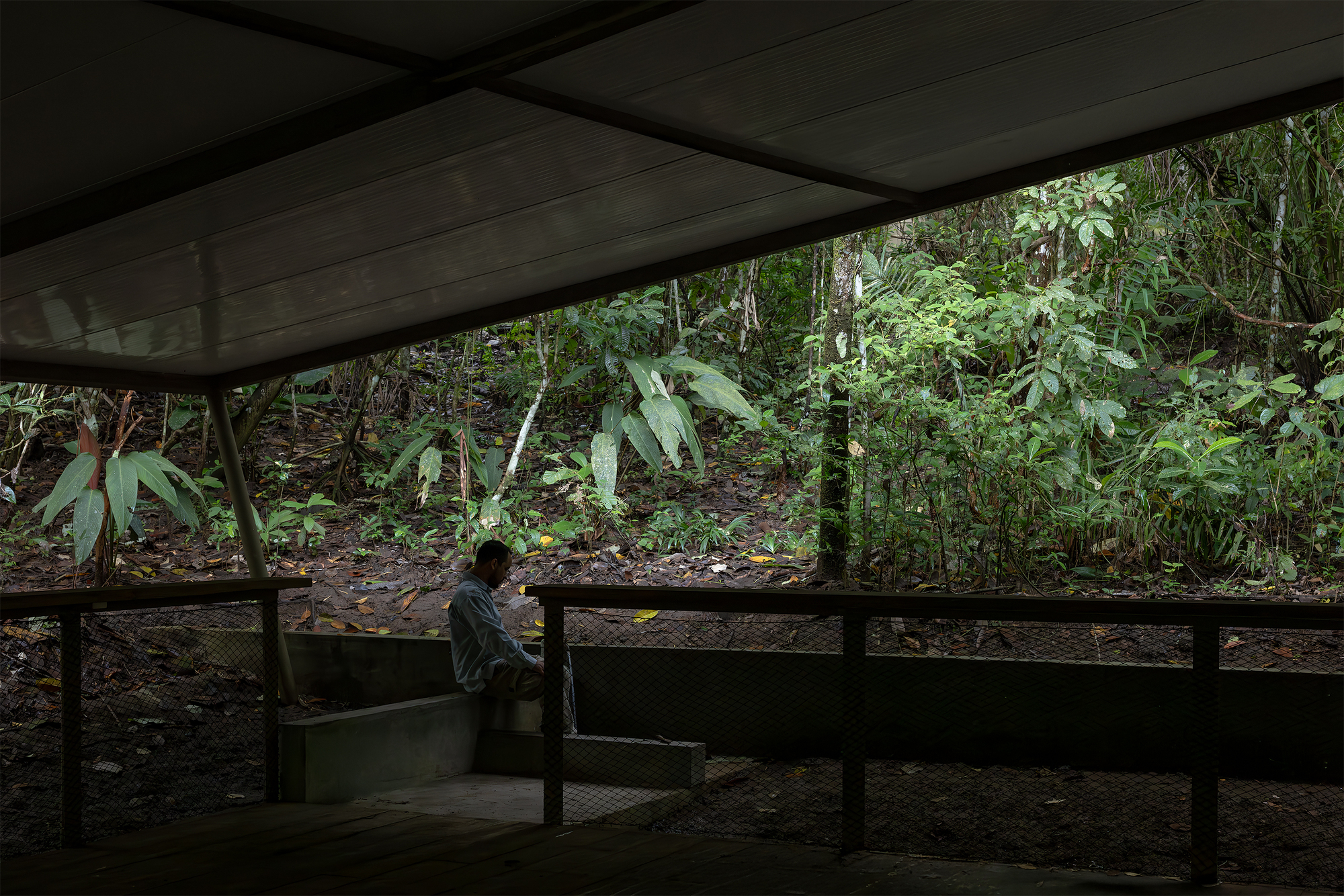 Refuge in the Rainforest - Tour Guide Training Center / Héctor Ayarza + Estudio Garúa-21